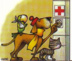 Carte de visite